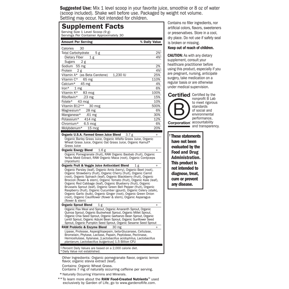 Tabela Nutricional Raw Organic Perfect Food Energizer Powder - Pomegranate - Yerba Maté - 9.73 oz(276 g)